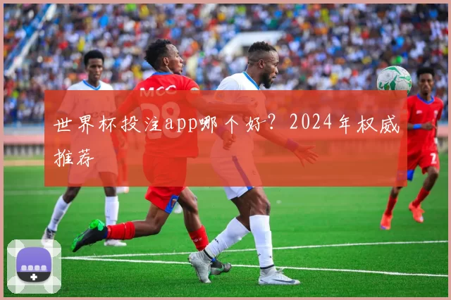世界杯投注app哪个好?2024年权威推荐