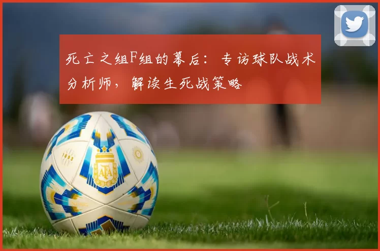死亡之组F组的幕后：专访球队战术分析师，解读生死战策略