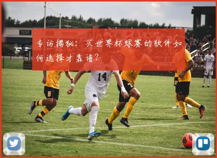 专访揭秘：买世界杯球赛的软件如何选择才靠谱？