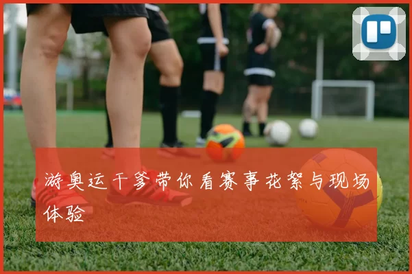 游奥运干爹带你看赛事花絮与现场体验