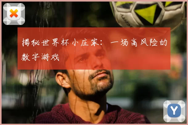 揭秘世界杯小庄家:一场高风险的数字游戏