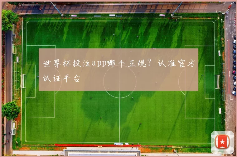 世界杯投注app哪个正规？认准官方认证平台