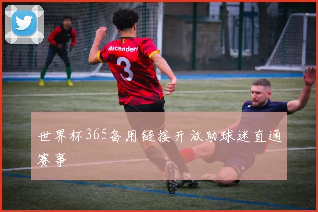 世界杯365备用链接开放助球迷直通赛事