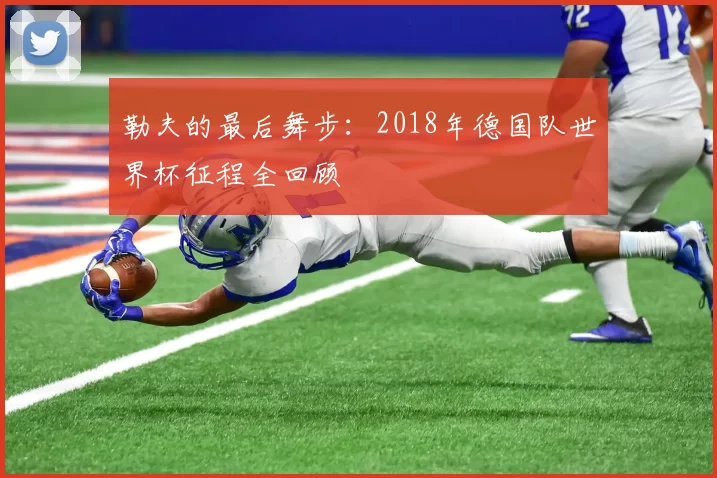 勒夫的最后舞步:2018年德国队世界杯征程全回顾
