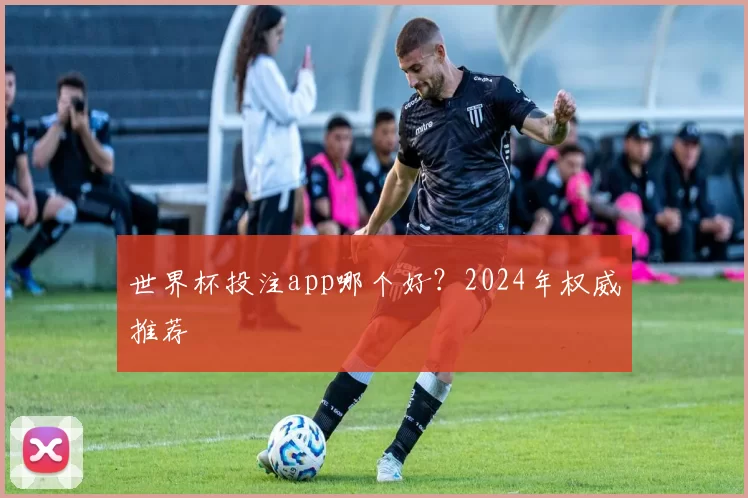 世界杯投注app哪个好？2024年权威推荐