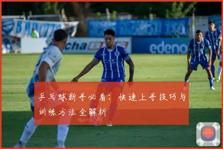 乒乓球新手必看:快速上手技巧与训练方法全解析