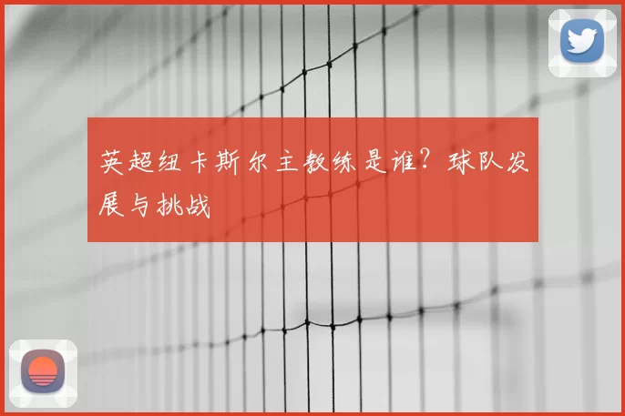 英超纽卡斯尔主教练是谁？球队发展与挑战