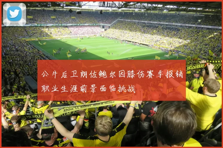 公牛后卫朗佐鲍尔因膝伤赛季报销职业生涯前景面临挑战