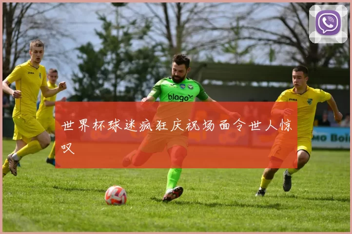 世界杯球迷疯狂庆祝场面令世人惊叹