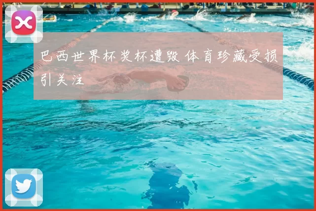 巴西世界杯奖杯遭毁 体育珍藏受损引关注