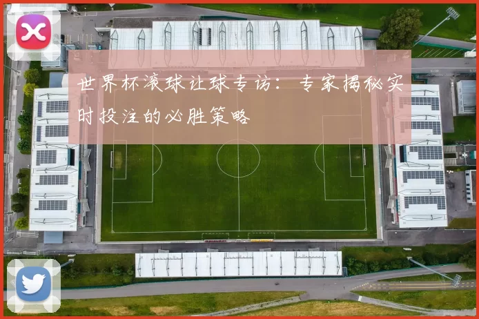 世界杯滚球让球专访：专家揭秘实时投注的必胜策略