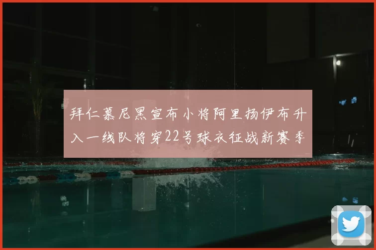 拜仁慕尼黑宣布小将阿里扬伊布升入一线队将穿22号球衣征战新赛季